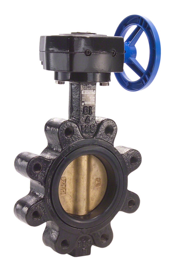 Gate Valve Cast Iron 3 inch - Legend Valve 116-123