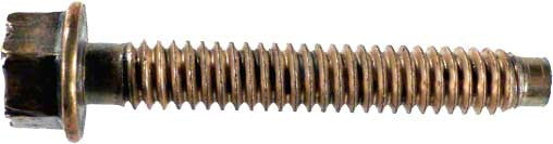 1/4-20 x 1-5/8 Inch Bolt - Stainless Steel