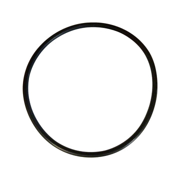 Control Plate Gasket O-Ring