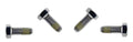 MaxFlo XL Motor Bolt 1 Inch - Pack of 4