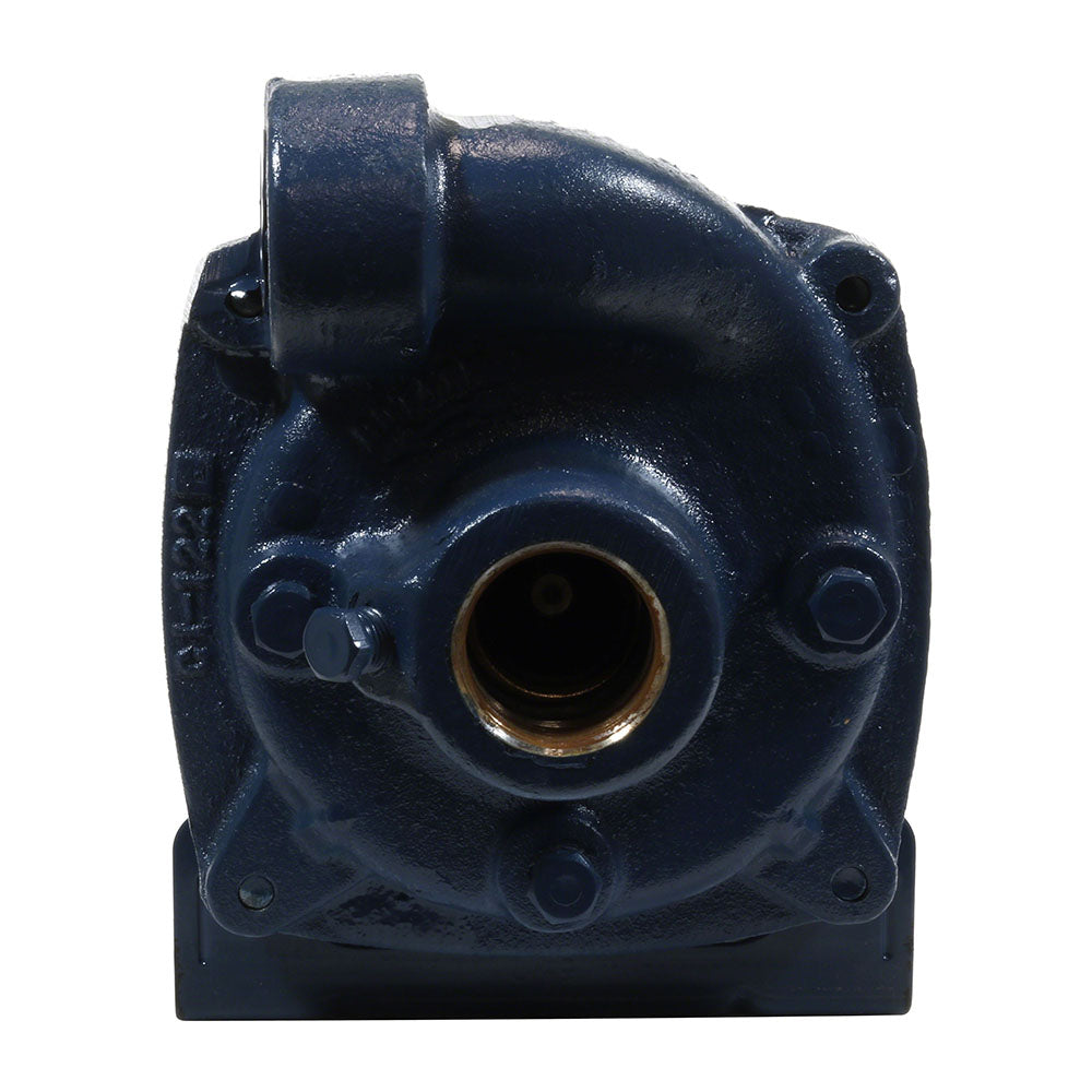 J Series Centrifugal Pump 1/2 HP 115/230 Volts Medium Head - 1-1/4 x 1 Inch