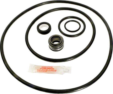 Dura-Glas II and Max-E-Glas II P4E/P4EA Pump Repair Kit