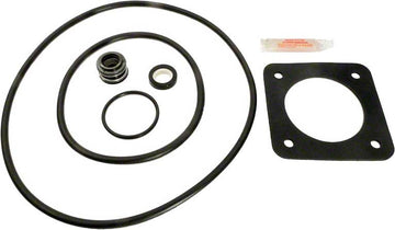 P2R/P2RA Pump Repair Kit