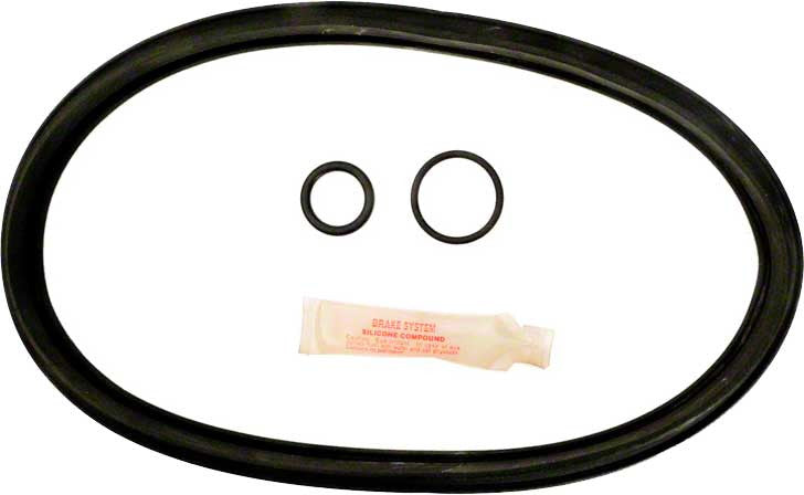 Hayward C250-800 O-Ring Kit