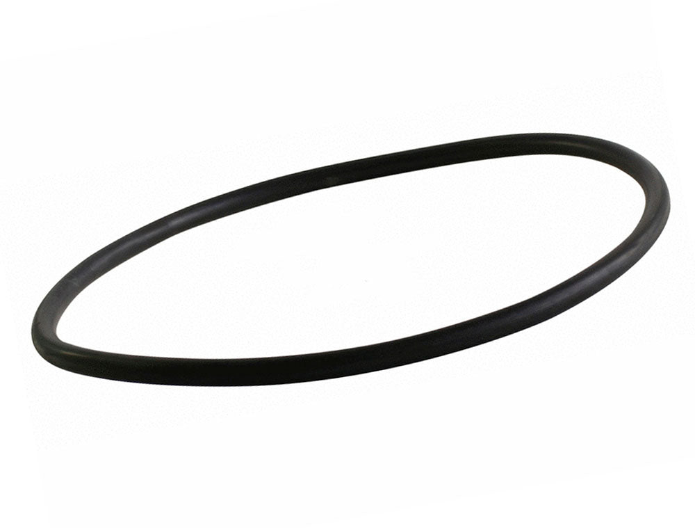 PS6X6 Strainer Lid O-Ring - EPDM