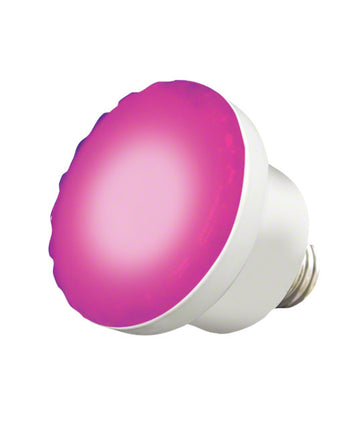 ColorSplash LED Spa Lamp RGBW - 120 Volts