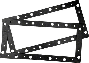 W Series Skimmer Faceplate Gasket - 2 Pack