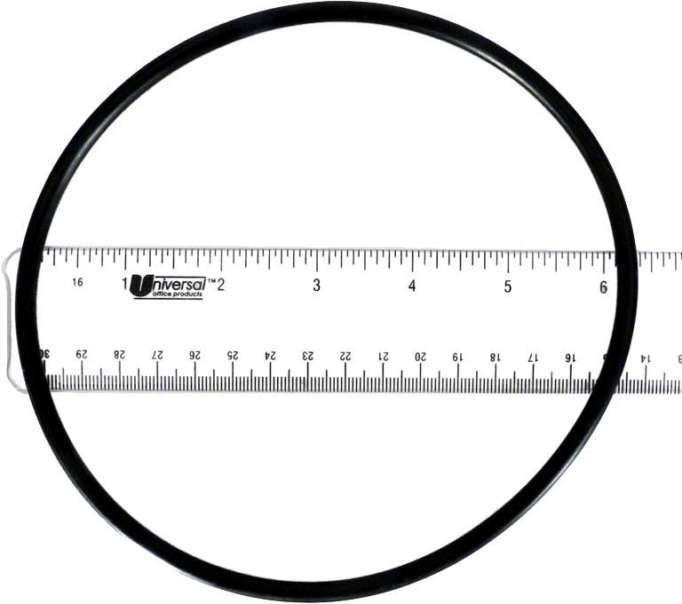 Eagle Pump Volute O-Ring