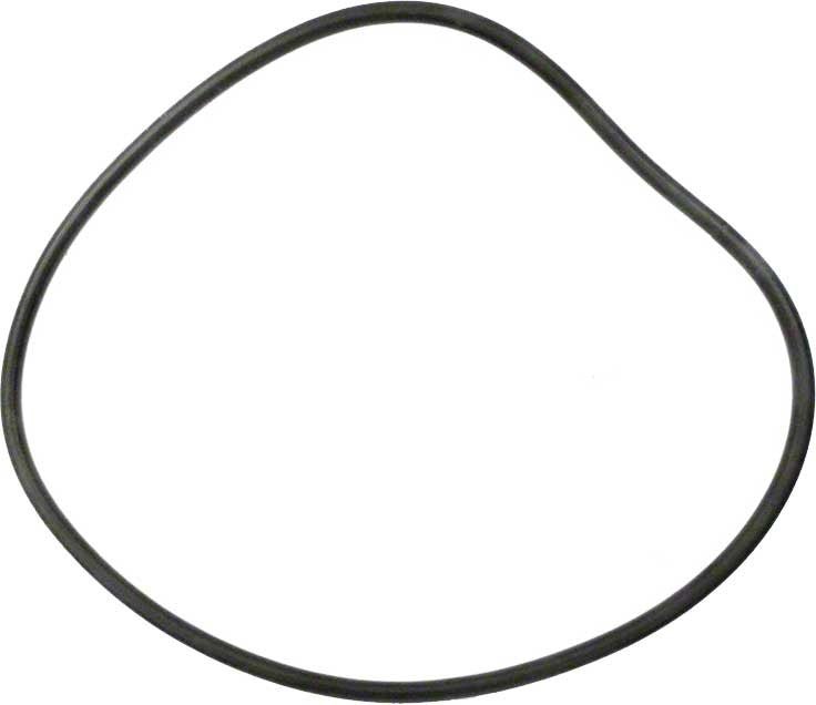 PacFab100 16 Inch Tank O-Ring