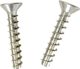 SP1030/1051 Main Drain Screw Set - Pack of 2