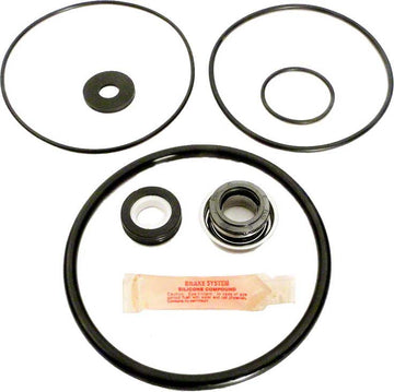 Maxim II Pump Repair Kit With Seal and O-Rings